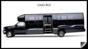 San Antonio Party Bus 25 Passenger Limo Bus